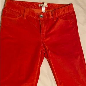 Banana Republic Corduroy Pants